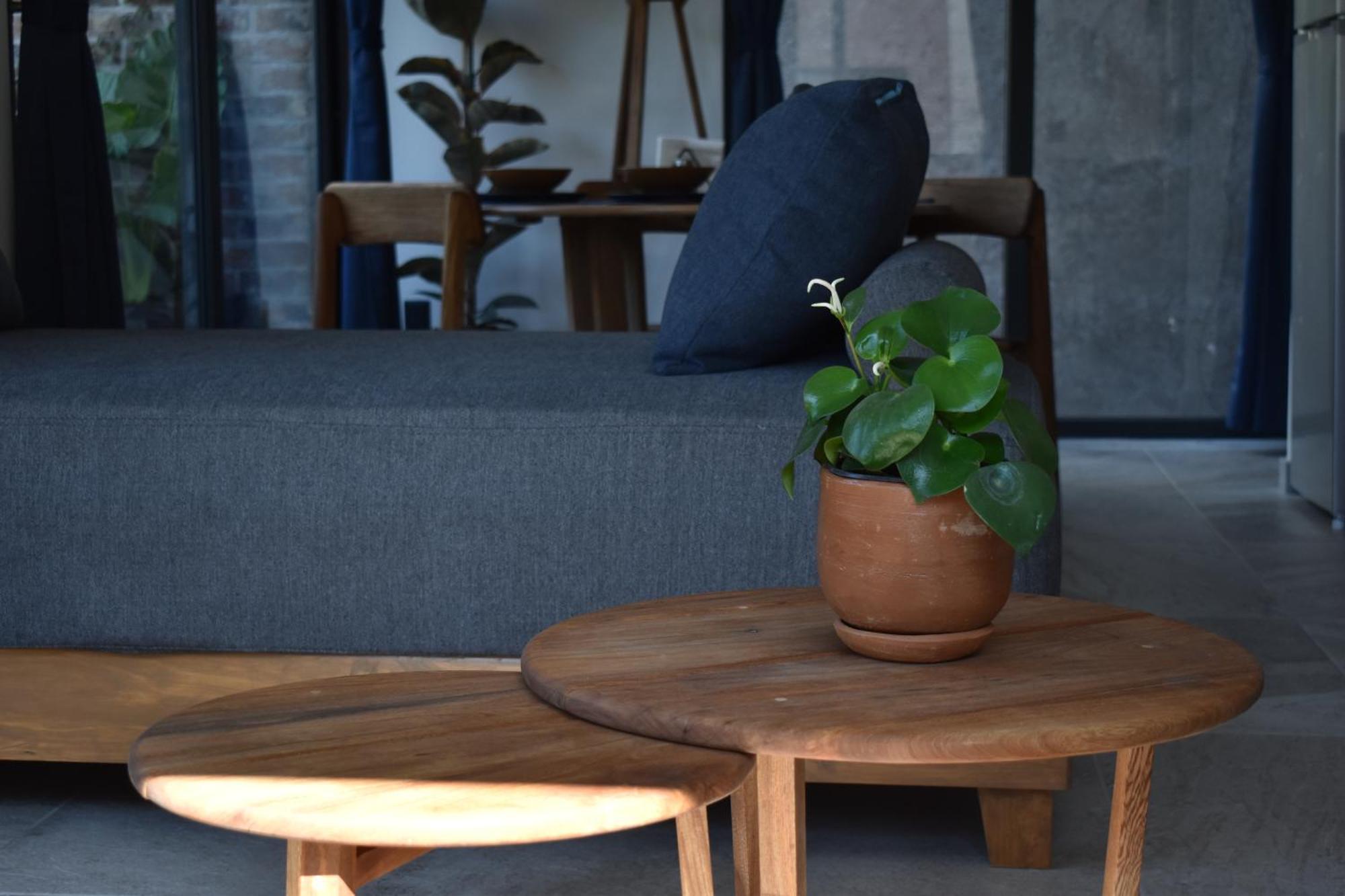 Tanat Art Boutique Hotel Мехико Экстерьер фото